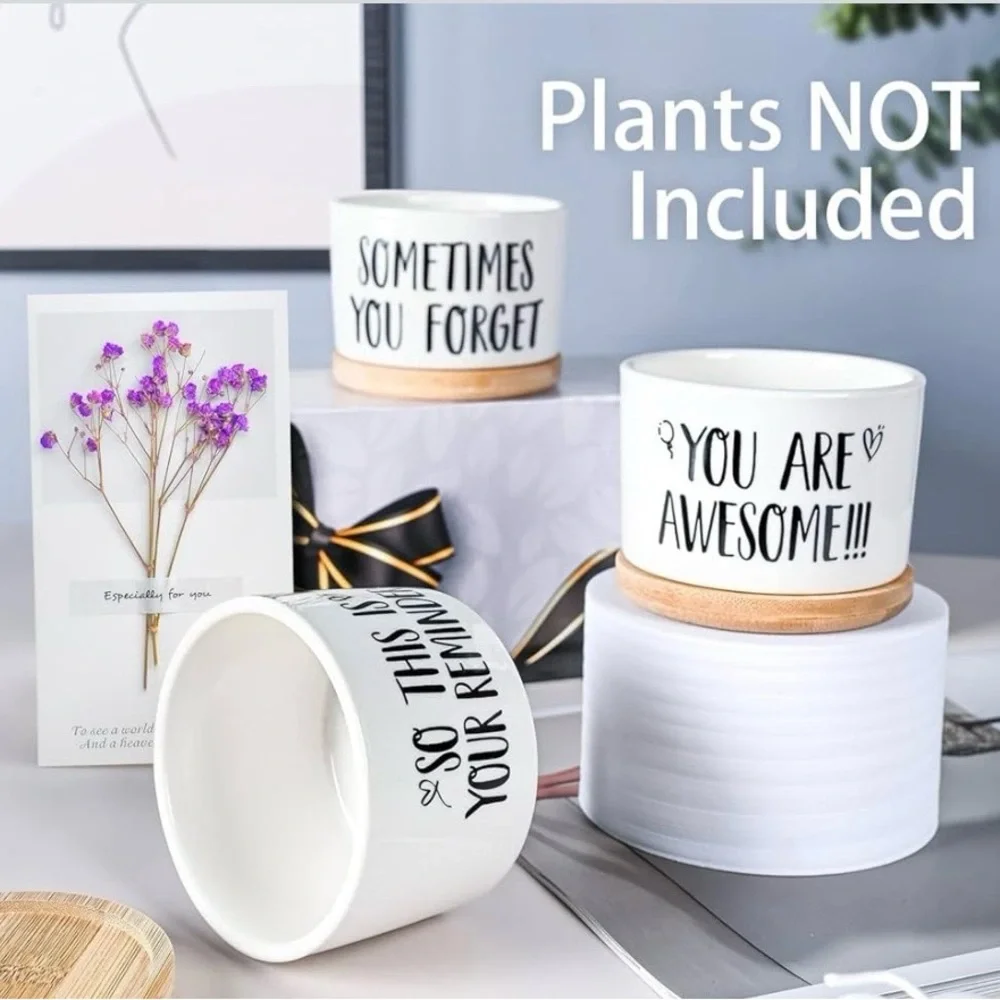 Set of Three Succulent Planters with Inspirational Quotes